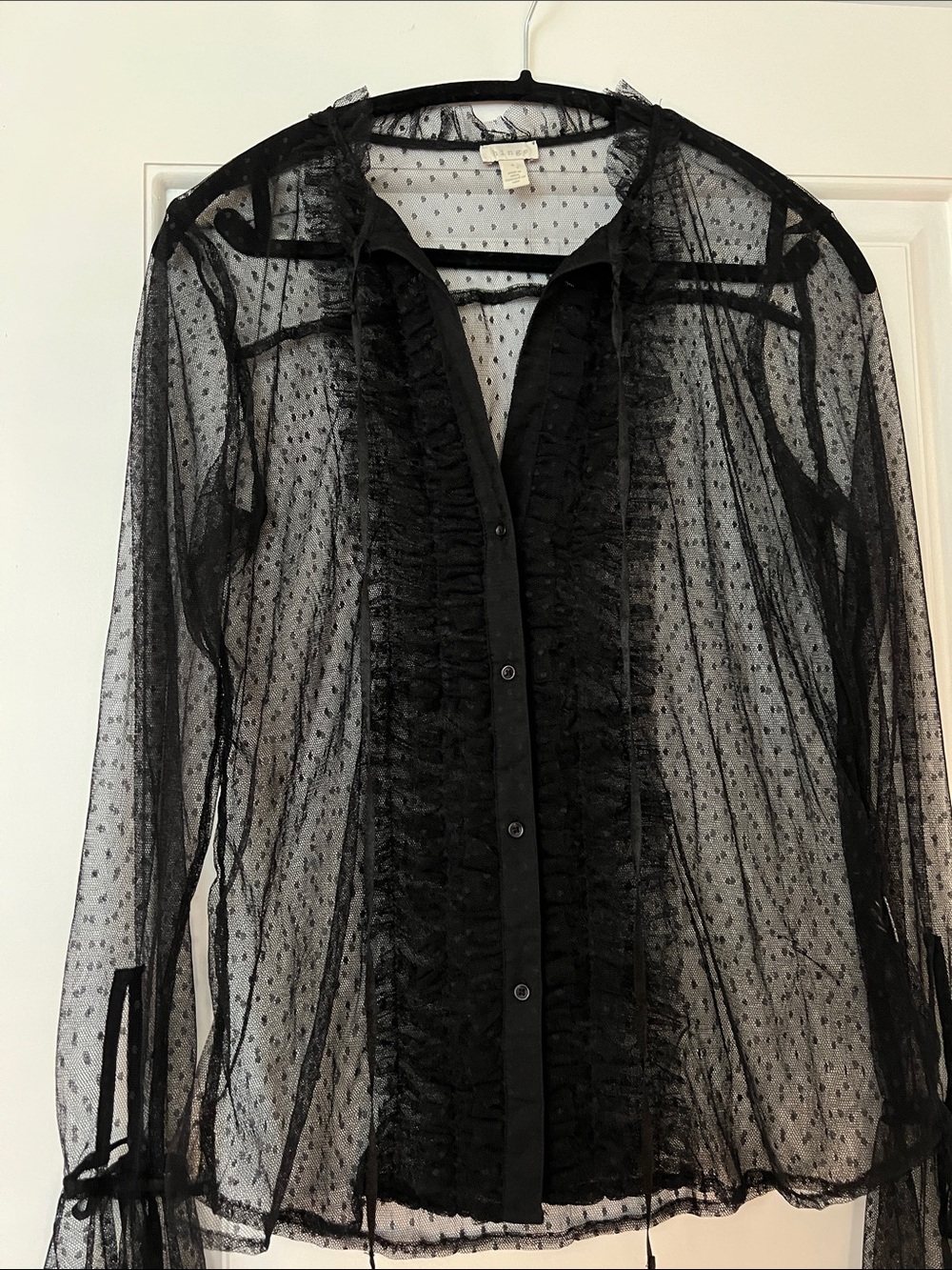 Nordstrom Hinge Sheer Black Ruffle Button-Front Blouse